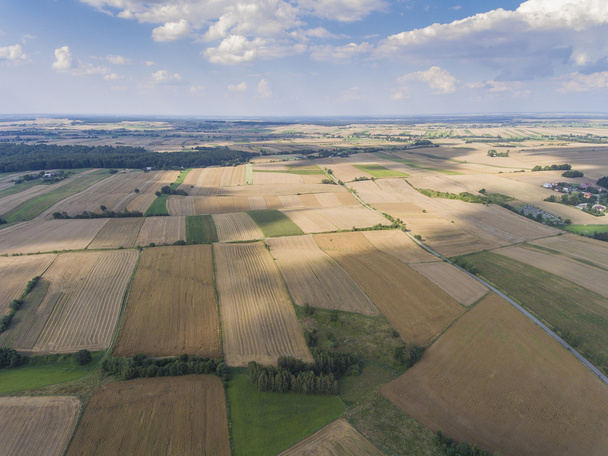 Aerial view of the blue sky and village harvest fields at summer - Foto, immagini