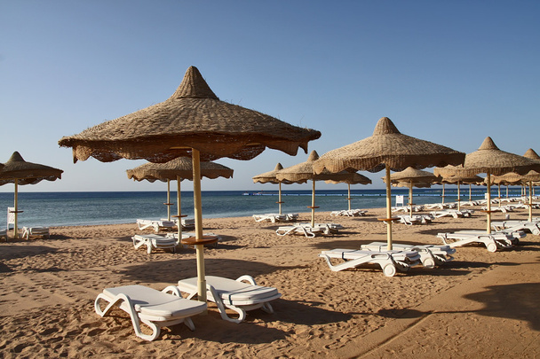 Spiaggia sul Mar Rosso
 - Foto, immagini