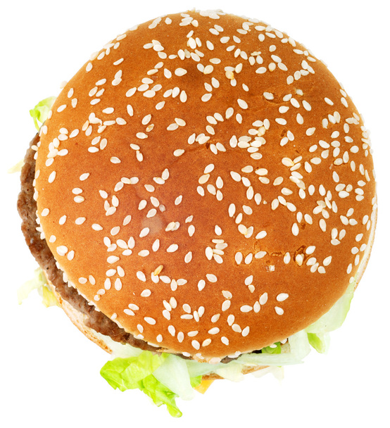 Burger sur blanc
 - Photo, image