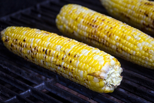 corn grilling on barbecue - Photo, Image