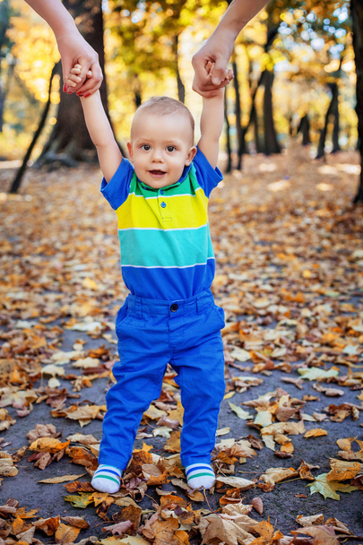 Boy goes in hand with mom and dad in the autumn park - Photo, image