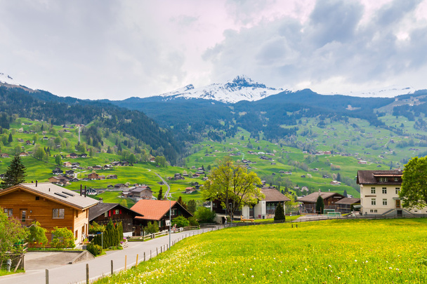 Valle de Grindelwald con pueblo disperso en las verdes laderas o
 - Foto, Imagen