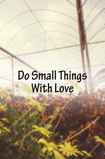 citação da amizade Do Small Things WithLove sobre flor selvagem borrada no parque
 - Foto, Imagem