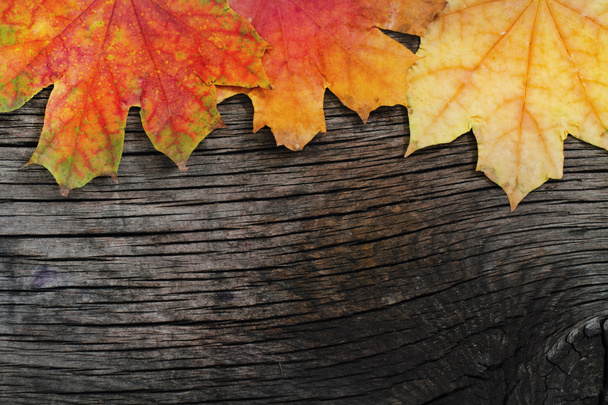 Осенний деревянный фон
 - Фото, изображение
