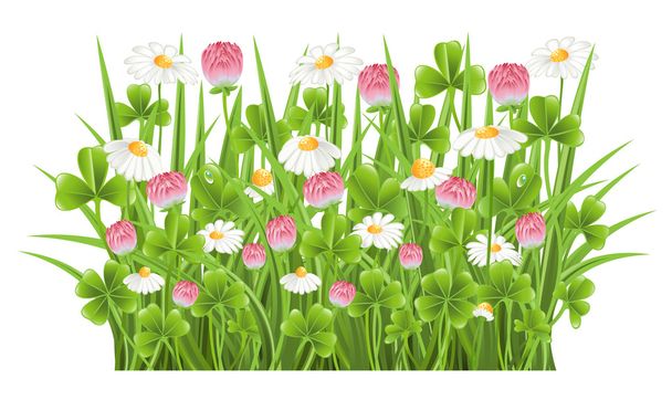 Green grass with clover and camomile flowers - Vector, Image