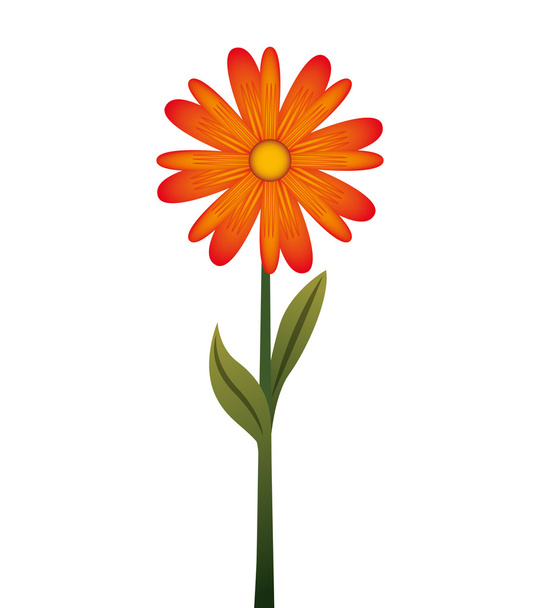 flower floral nature icon - Διάνυσμα, εικόνα