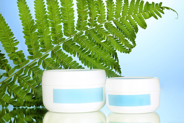 Jar of cream with branch of fern on blue background - Foto, imagen