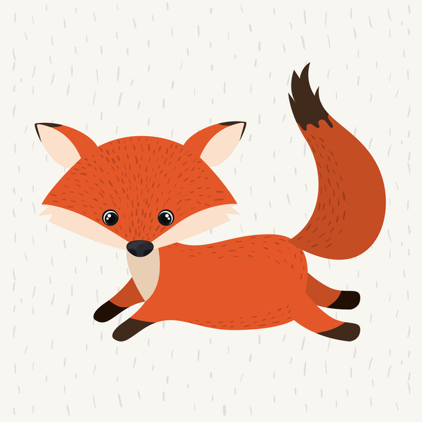 fox cute wildlife icon - Διάνυσμα, εικόνα
