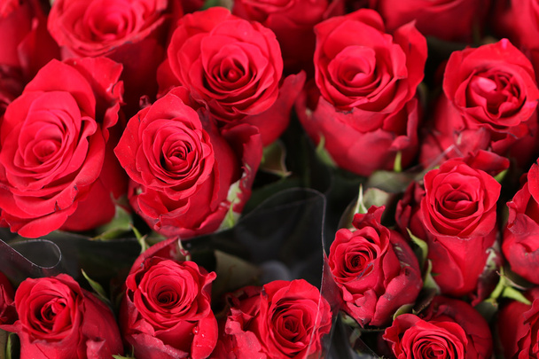 krásné červené růže květiny textura - Fotografie, Obrázek