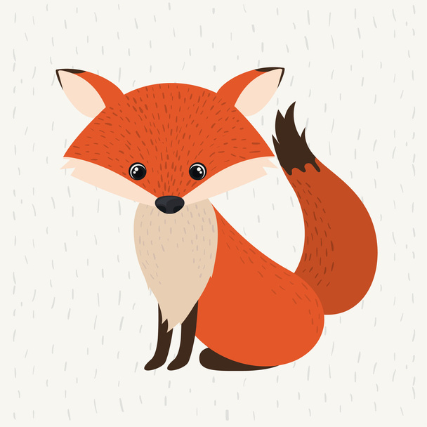 fox cute wildlife icon - Vettoriali, immagini