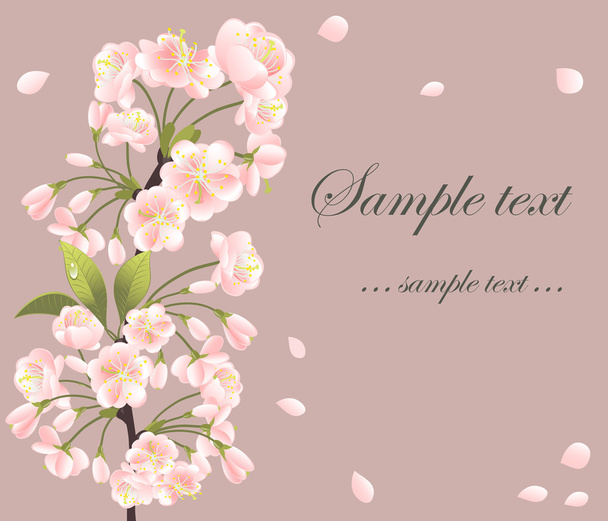 Background with sakura tree - Vector, Image