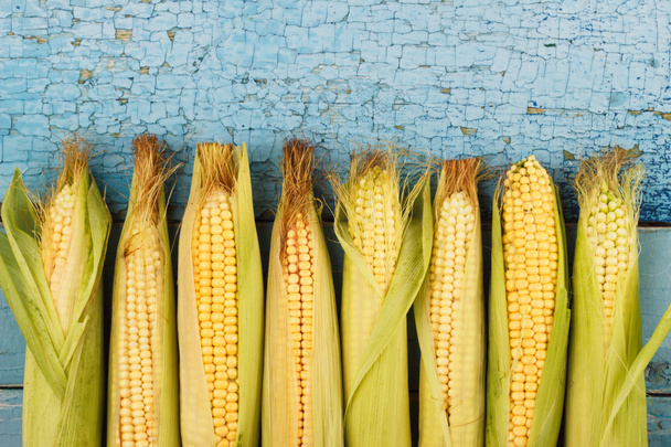 The line of raw corn on the old blue boards - Foto, Imagem