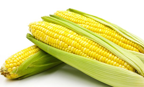 Mais auf weißem Hintergrund - Foto, Bild