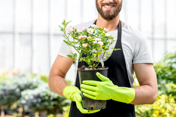 Jardinier avec un pot de fleurs
 - Photo, image