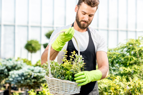 Jardinier avec un panier plein de plantes
 - Photo, image