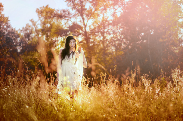 Kauneus romanttinen tyttö, malli ulkona pukeutunut rento lyhyt mekko kentällä auringon valossa. Suihinotto pitkätukka. Syksyllä. Aurinko paistaa, Aurinko paistaa. Taustavalaistu. Sävytetty lämpimin värein
. - Valokuva, kuva