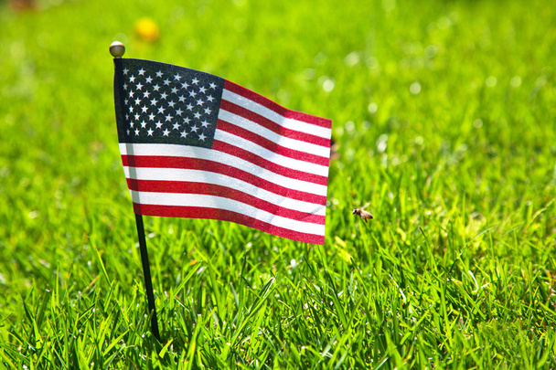 American flag on the grass - Фото, изображение