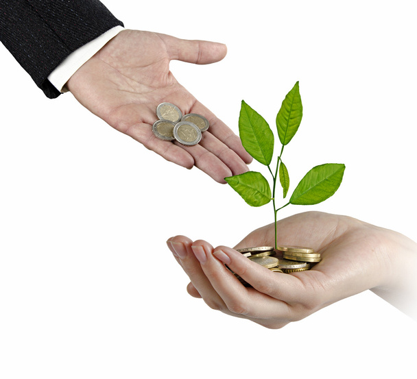 Investir dans les entreprises vertes
 - Photo, image