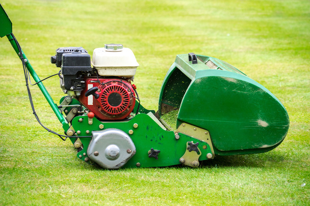 Old green motor mower cutting lawn - Photo, Image