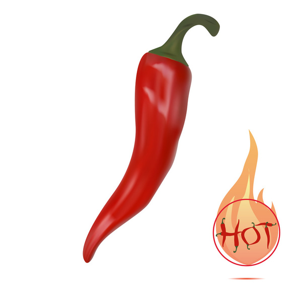 Pimenta de pimenta vermelha isolada no fundo branco. ilustração vetorial realista
 - Vetor, Imagem