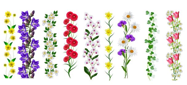 Borrifos de flores isoladas no fundo branco
. - Foto, Imagem