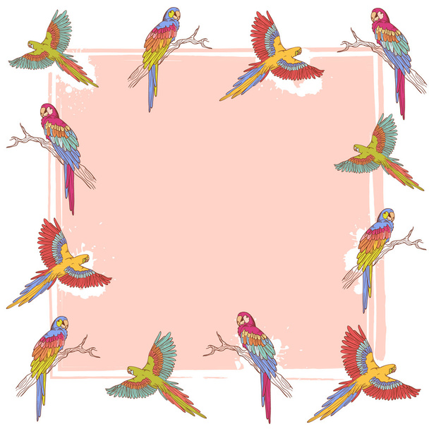 Parrot ara colorful frame - Διάνυσμα, εικόνα