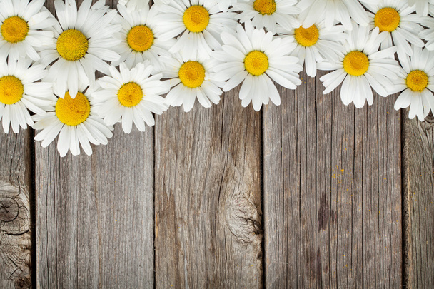 Daisy chamomile flowers on wood - Photo, Image