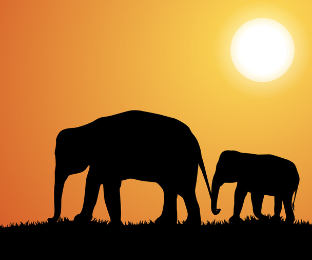 olifant silhouetten in Afrika - Vector, afbeelding