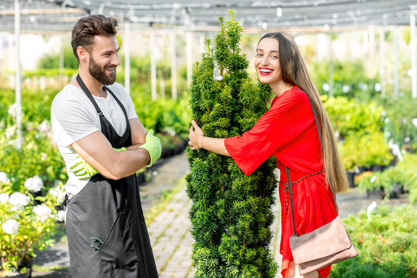 Pflanzenverkäufer mit Käufer im Geschäft - Foto, Bild