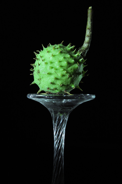 A egy fordított wineglass a sötétben zöld gesztenye - Fotó, kép