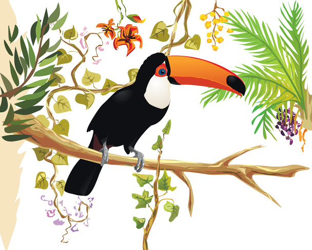Vector illustration of toucan on a branch with tropical leaf and flowers.  - Vector, afbeelding