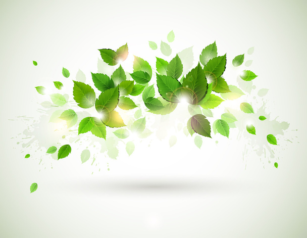 Summer shine on the branch with fresh green leaves - Vector, imagen