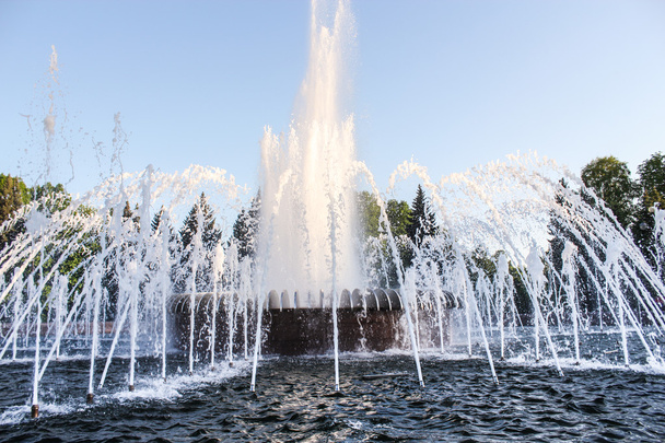 Velký park fontána. - Fotografie, Obrázek