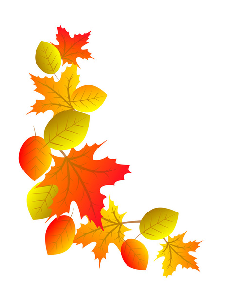 Hojas coloridas de otoño
 - Vector, imagen