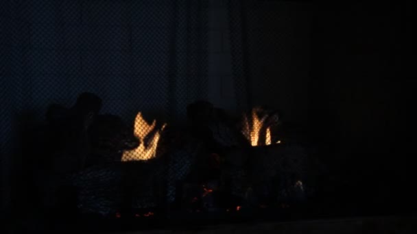 Vuur verbranden in een haard. - Video