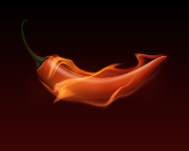 Pimienta roja picante en fuego y llama aislada sobre fondo blanco
 - Vector, Imagen