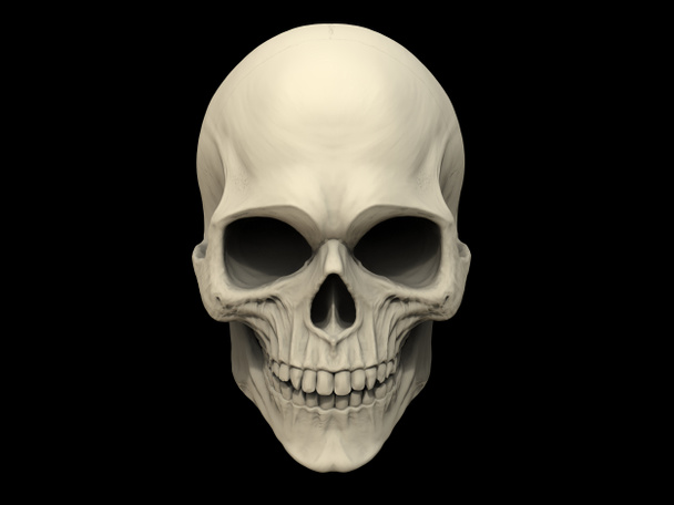 crâne sur fond noir - Photo, image