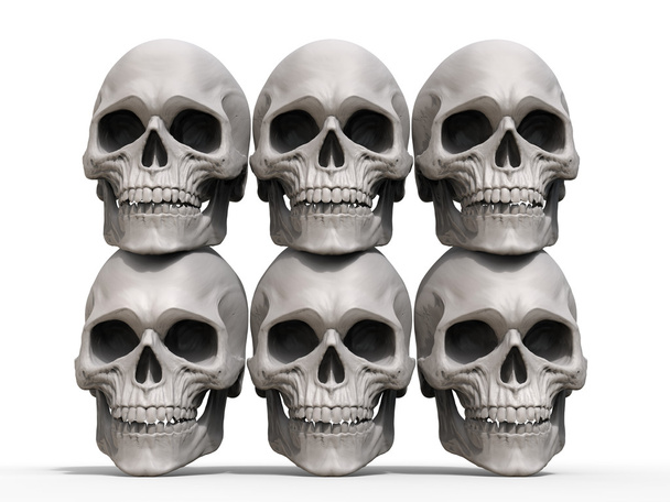 Fali koponyák  - Fotó, kép