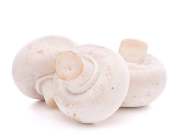 Champignon mushroom - Fotoğraf, Görsel