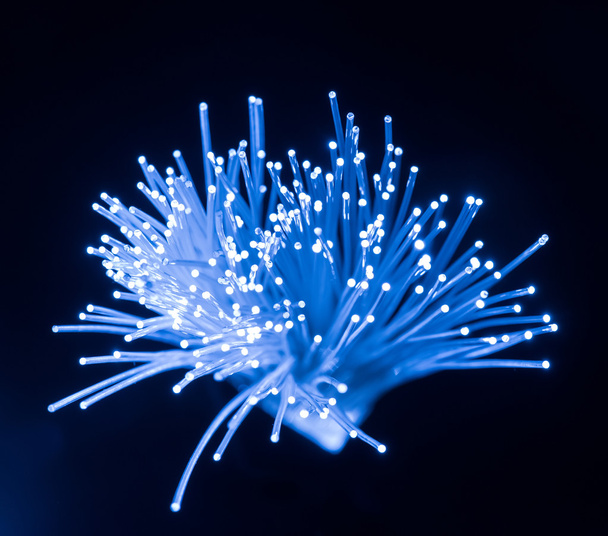 fiber optikai átvitel vagy hálózati technológia koncepció - Fotó, kép