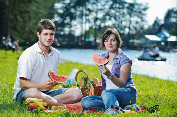 Happy young couple having a picnic outdoor - Foto, Imagen