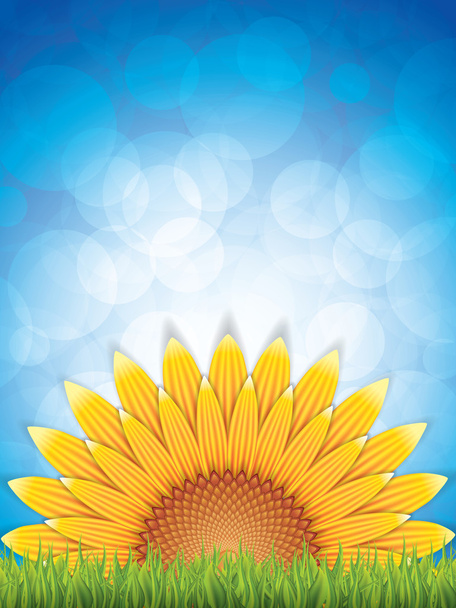 Sunflower background with blue sky - Vector, Imagen