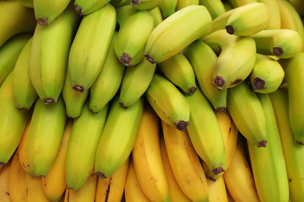 montón de plátanos para la venta en un mercado
 - Foto, Imagen