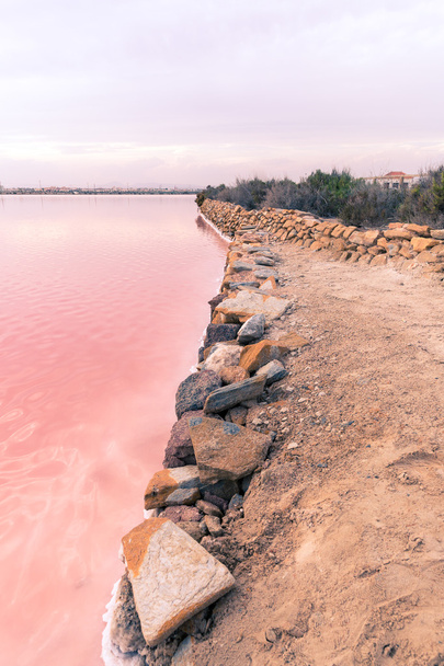 Różowe słone jezioro - Salinas de San Pedro del Pinatar - Zdjęcie, obraz