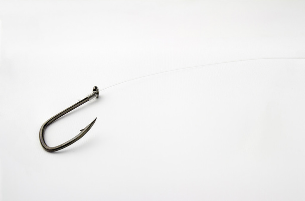 Acute and reliable fishing hook - Zdjęcie, obraz