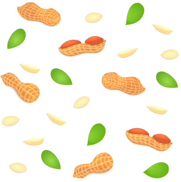 Vector sem costura porca de amendoim de fundo. Um padrão de amendoins descascados com casca e folhas. Imagem saborosa em branco para impressão de embalagens, publicidade de alimentos saudáveis
 - Vetor, Imagem