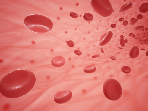 赤血球との人間の船 - 写真・画像