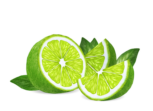 Hand drawn illustration of lime slices - Foto, Imagen
