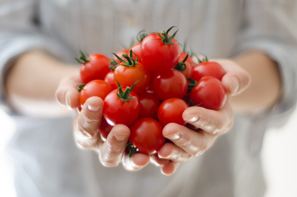 Cherry Tomatoes in Womans Hands - Fotoğraf, Görsel