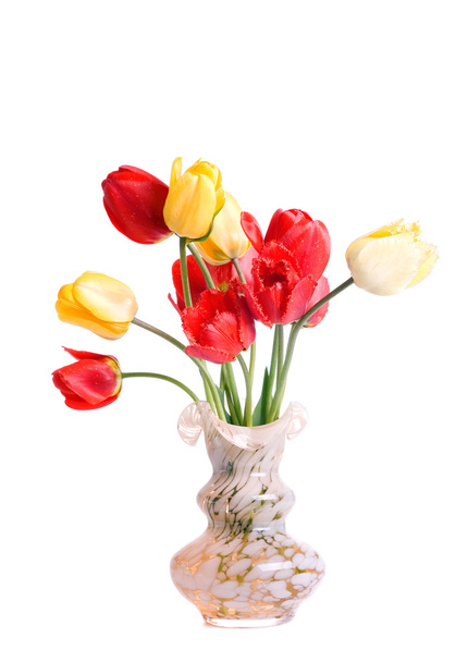 Red tulip - Fotó, kép
